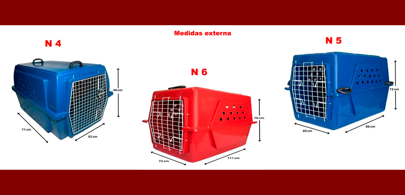 Caixa Transporte Thor